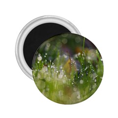 Drops 2 25  Button Magnet by Siebenhuehner