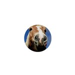 Haflinger  1  Mini Button Front