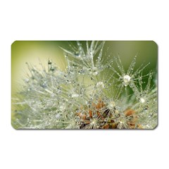 Dandelion Magnet (rectangular) by Siebenhuehner