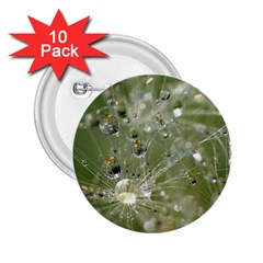 Dandelion 2 25  Button (10 Pack) by Siebenhuehner