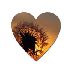 Dandelion Magnet (heart) by Siebenhuehner