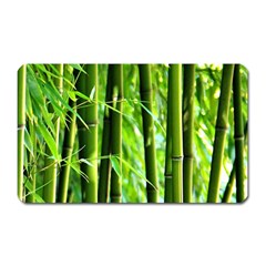 Bamboo Magnet (rectangular) by Siebenhuehner