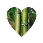Bamboo Magnet (Heart) Front