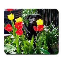 Black Gsd Pup Large Mouse Pad (rectangle) by StuffOrSomething