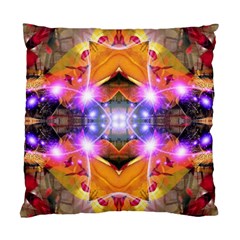 Abstract Flower Cushion Case (two Sided)  by icarusismartdesigns