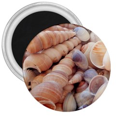 Seashells 3000 4000 3  Button Magnet by yoursparklingshop