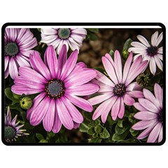 Beautiful Colourful African Daisies  Double Sided Fleece Blanket (large)  by OZMedia