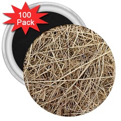 Light Colored Straw 3  Magnets (100 Pack) by trendistuff
