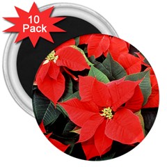 Poinsettia 3  Magnets (10 Pack)  by trendistuff