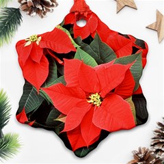 Poinsettia Ornament (snowflake)  by trendistuff