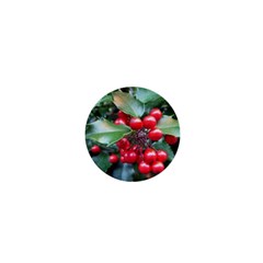 Holly 1 1  Mini Buttons by trendistuff
