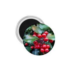 Holly 1 1 75  Magnets by trendistuff