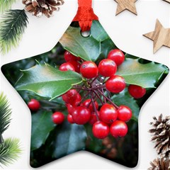 Holly 1 Ornament (star)  by trendistuff