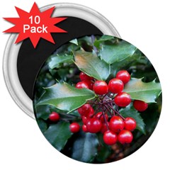 Holly 1 3  Magnets (10 Pack)  by trendistuff