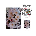 SAKURA Playing Cards 54 (Mini)  Front - Spade7