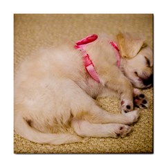 Adorable Sleeping Puppy Tile Coasters by trendistuff