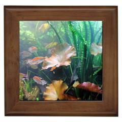 Marine Life Framed Tiles by trendistuff