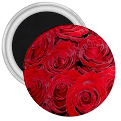Red Roses Love 3  Magnets by yoursparklingshop