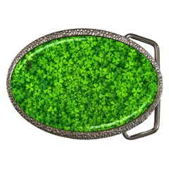 Shamrock Clovers Green Irish St  Patrick Ireland Good Luck Symbol 8000 Sv Belt Buckles by yoursparklingshop