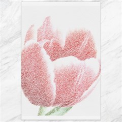 Tulip Red Pencil Drawing Art Canvas 24  X 36  by picsaspassion