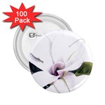White Magnolia pencil drawing art 2.25  Buttons (100 pack)  Front