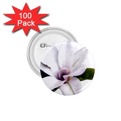 Magnolia Wit Aquarel Painting Art 1 75  Buttons (100 Pack)  by picsaspassion