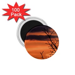 Tree Branches And Sunset 1 75  Magnets (100 Pack)  by picsaspassion
