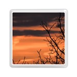 Tree branches and sunset Memory Card Reader (Square)  Front