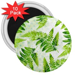 Fern Leaves 3  Magnets (10 Pack)  by DanaeStudio