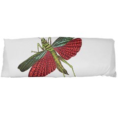 Grasshopper Insect Animal Isolated Body Pillow Case Dakimakura (two Sides) by Nexatart