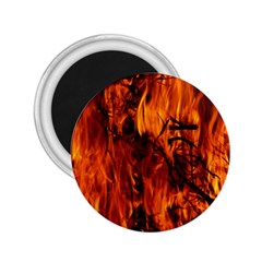Fire Easter Easter Fire Flame 2 25  Magnets by Nexatart