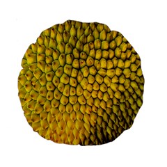Jack Shell Jack Fruit Close Standard 15  Premium Round Cushions by Amaryn4rt