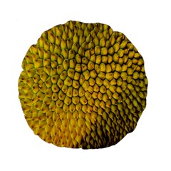 Jack Shell Jack Fruit Close Standard 15  Premium Flano Round Cushions by Amaryn4rt