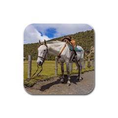White Horse Tied Up At Cotopaxi National Park Ecuador Rubber Square Coaster (4 Pack)  by dflcprints