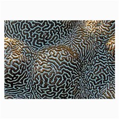 Coral Pattern Large Glasses Cloth by Amaryn4rt