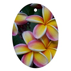 Premier Mix Flower Ornament (oval) by alohaA
