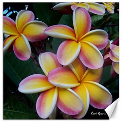 Premier Mix Flower Canvas 12  X 12   by alohaA