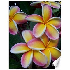 Premier Mix Flower Canvas 18  X 24   by alohaA