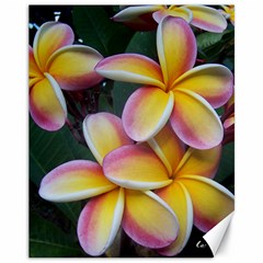 Premier Mix Flower Canvas 11  X 14   by alohaA