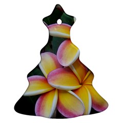 Premier Mix Flower Christmas Tree Ornament (two Sides) by alohaA