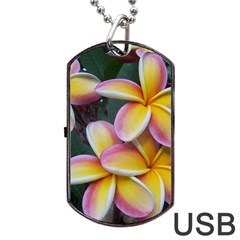 Premier Mix Flower Dog Tag Usb Flash (one Side) by alohaA