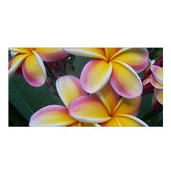 Premier Mix Flower Satin Shawl by alohaA