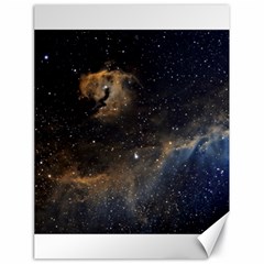 Seagull Nebula Canvas 18  X 24   by SpaceShop