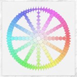 Polygon Evolution Wheel Geometry Canvas 20  x 20   19 x19.27  Canvas - 1