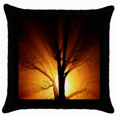 Rays Of Light Tree In Fog At Night Throw Pillow Case (black) by Amaryn4rt
