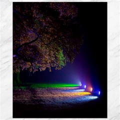 Illuminated Trees At Night Canvas 11  X 14   by Nexatart