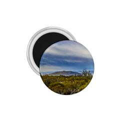 Patagonian Lanscape Scene, Santa Cruz, Argentina 1 75  Magnets by dflcprints