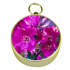 Pretty In Fuchsia Gold Compasses by dawnsiegler