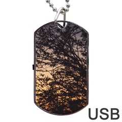 Arizona Sunset Dog Tag Usb Flash (two Sides) by JellyMooseBear
