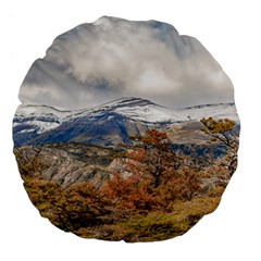 Forest And Snowy Mountains, Patagonia, Argentina Large 18  Premium Flano Round Cushions by dflcprints